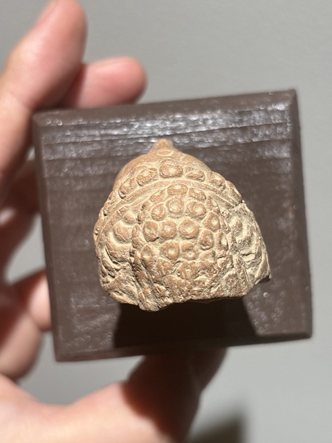 古玩雜項(xiàng)佛像真品鑒賞圖