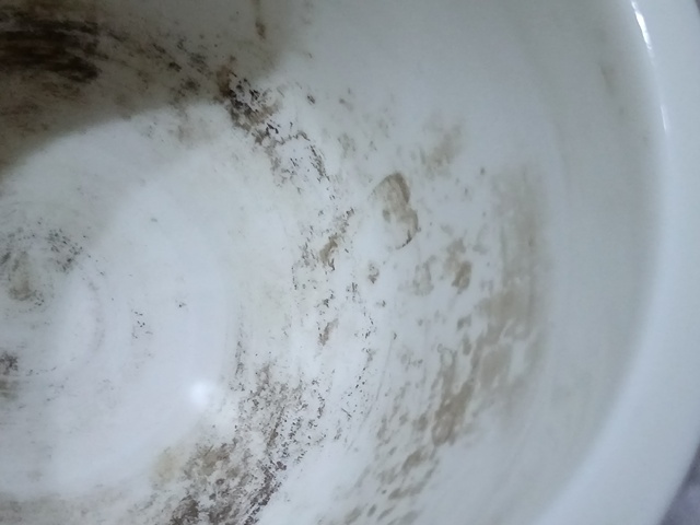 古玩陶瓷德化窯香爐真品鑒賞圖