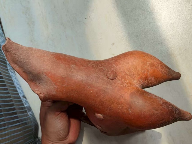 古玩陶瓷陶鬶真品鑒賞圖