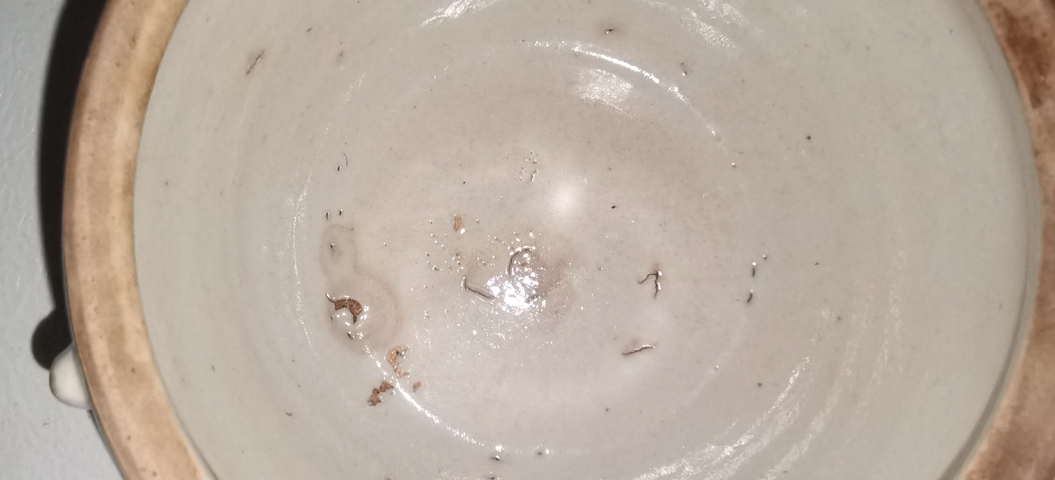 古玩陶瓷四系粥罐真品鑒賞圖