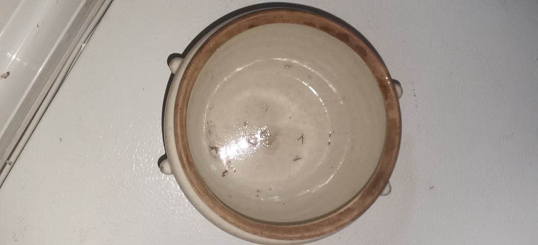 古玩陶瓷四系粥罐真品鑒賞圖