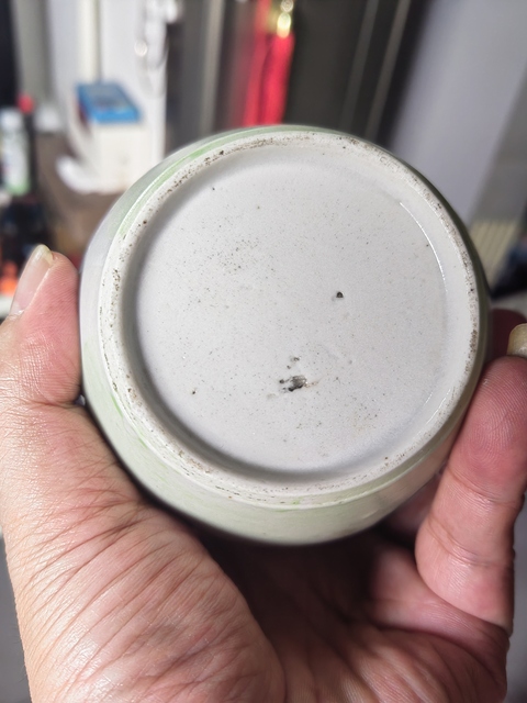 古玩陶瓷罐真品鑒賞圖