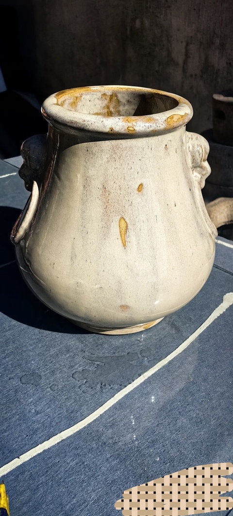 古玩陶瓷雙鋪首瓶真品鑒賞圖