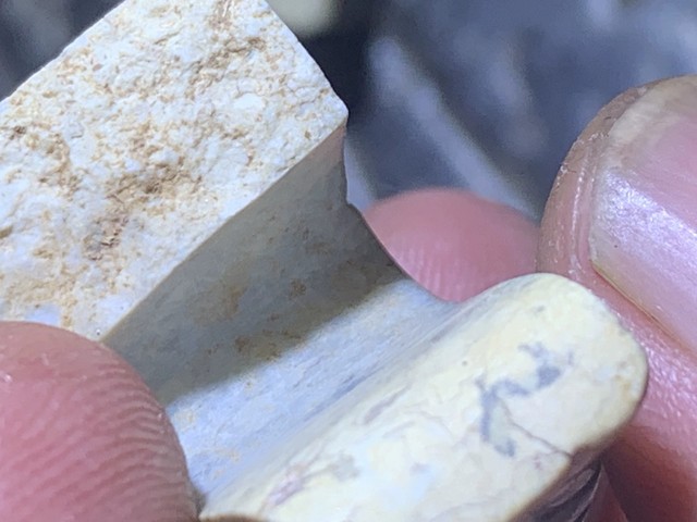 古玩玉器地方玉雕“帶鉤”(殘件)真品鑒賞圖