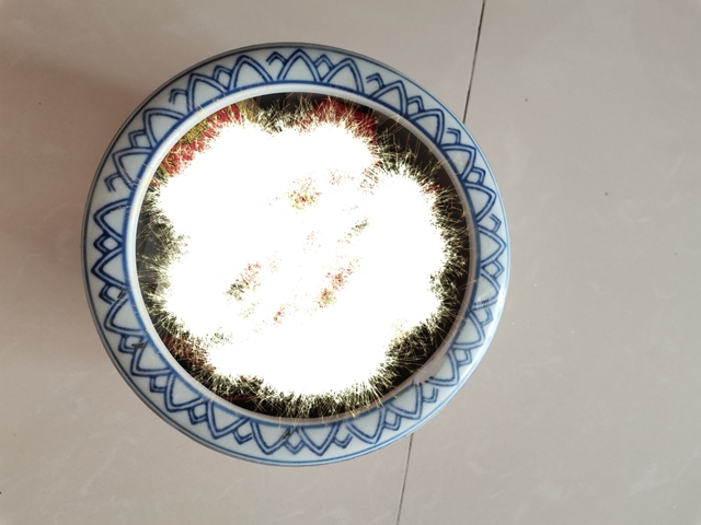 古玩陶瓷花鳥紋青花加彩缸真品鑒賞圖