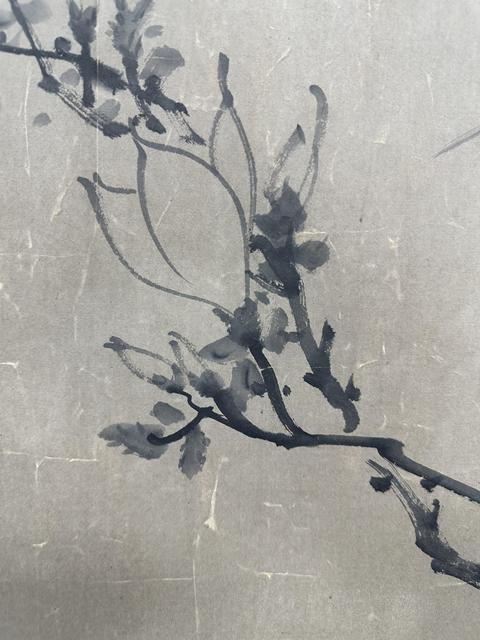 古玩字畫(huà)陳道復(fù)(群芳圖)款手卷真品鑒賞圖