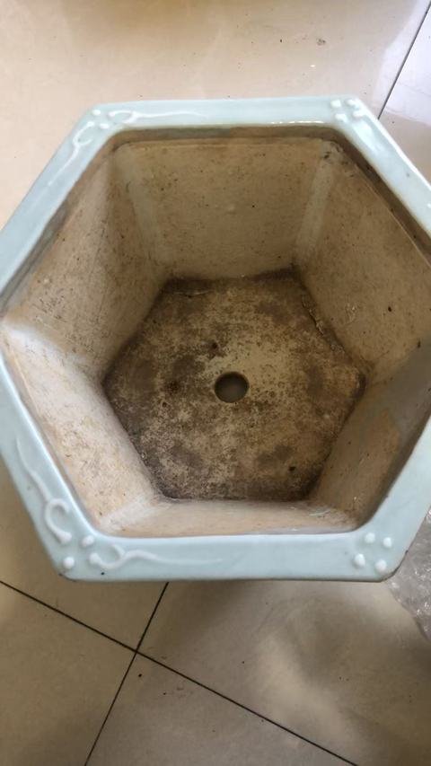古玩陶瓷豆青釉堆白花卉紋花盆真品鑒賞圖