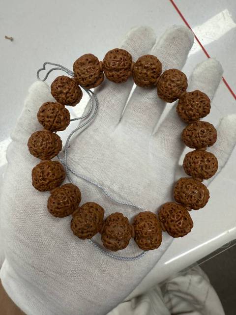 古玩雜項(xiàng)金剛菩提真品鑒賞圖