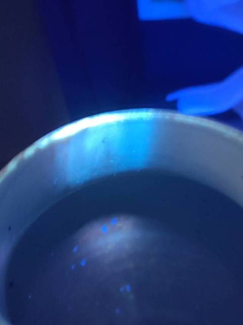 古玩陶瓷青花五彩罐真品鑒賞圖