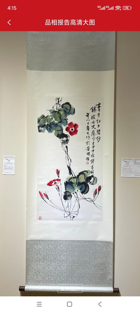 古玩字畫牽牛花真品鑒賞圖