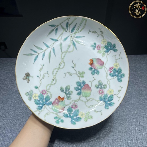 古玩陶瓷粉彩盤真品鑒賞圖
