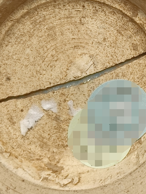 古玩陶瓷元鈞真品鑒賞圖