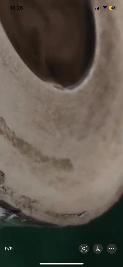 古玩陶瓷素三彩龍柄壺真品鑒賞圖