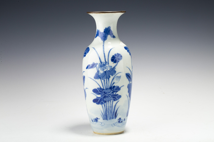 古玩陶瓷清晚·青花滿池嬌紋瓶真品鑒賞圖