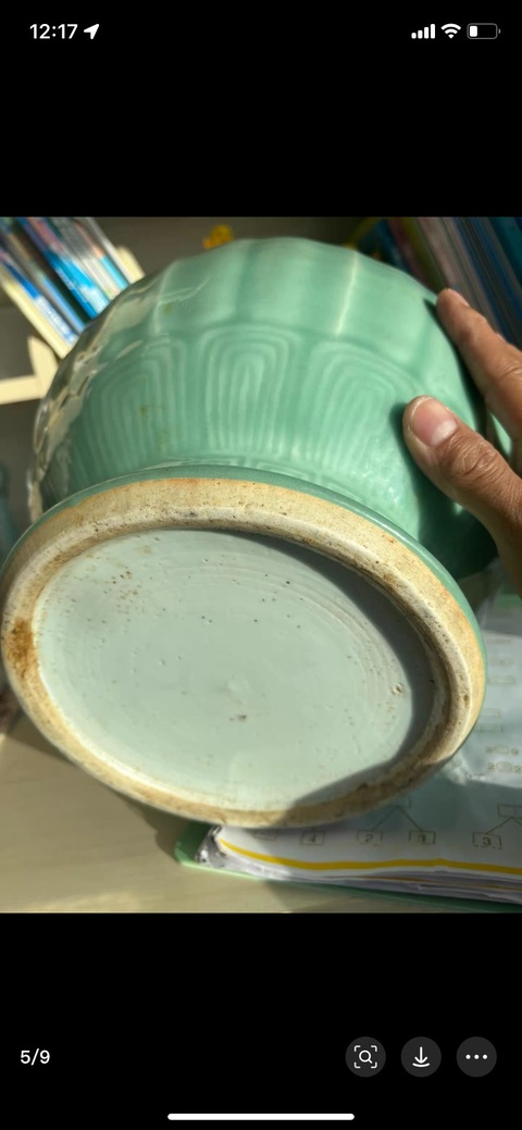 古玩陶瓷青釉瓶標(biāo)本真品鑒賞圖