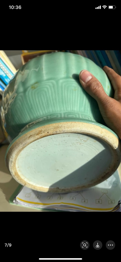 古玩陶瓷青釉瓶標(biāo)本真品鑒賞圖