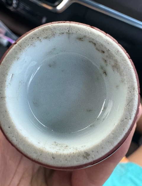 古玩陶瓷紅釉梅瓶真品鑒賞圖
