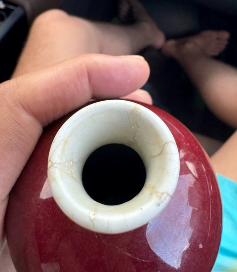 古玩陶瓷紅釉梅瓶真品鑒賞圖