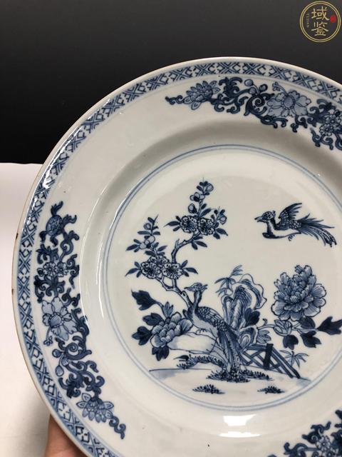 古玩陶瓷29 公分 康雍·青花錦雞牡丹紋折沿盤拍賣，當前價格1988元