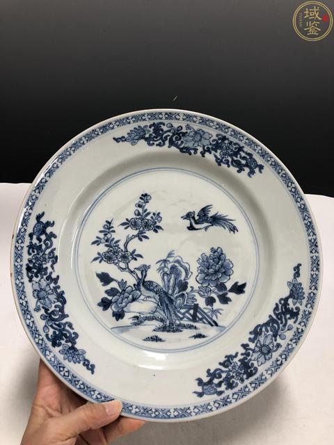 古玩陶瓷29 公分 康雍·青花錦雞牡丹紋折沿盤拍賣，當前價格1988元