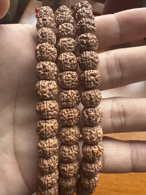 古玩雜項金剛菩提真品鑒賞圖