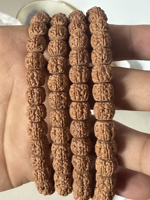 古玩雜項金剛菩提真品鑒賞圖