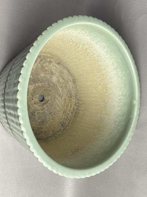 古玩陶瓷清中粉青釉竹節紋超大花盆真品鑒賞圖