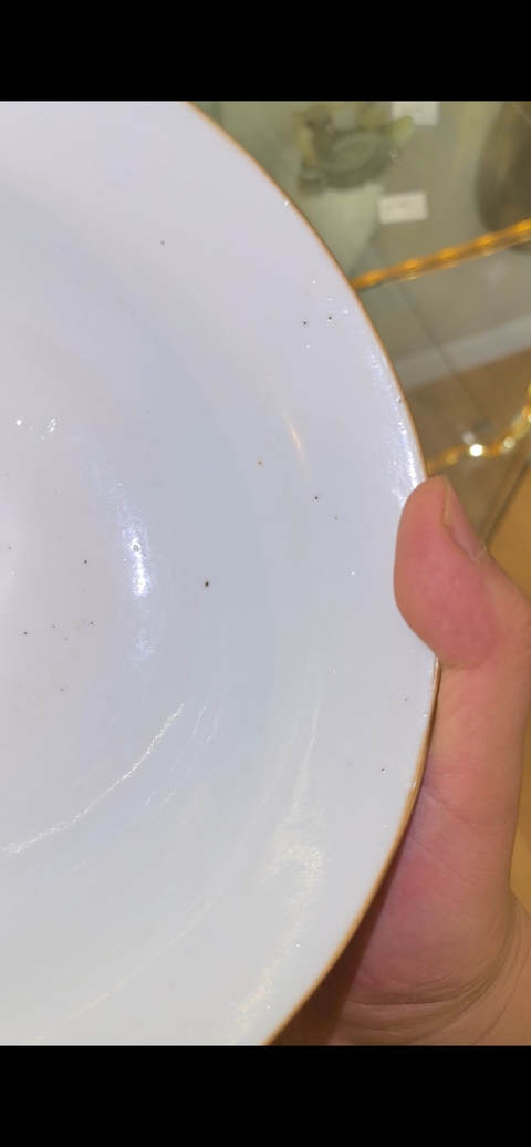 古玩陶瓷清道光 松石綠堆白折沿碗真品鑒賞圖