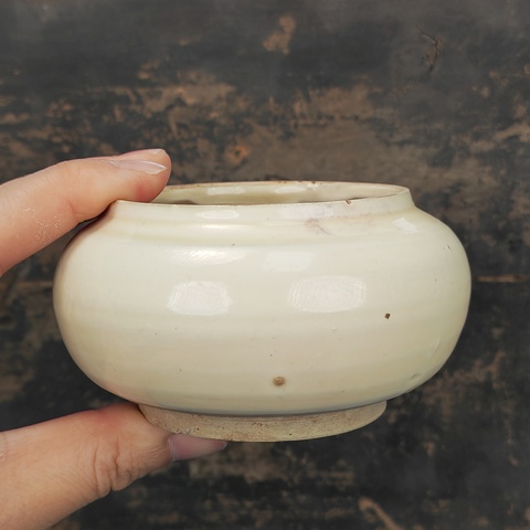 古玩陶瓷磁州窯白釉茶入真品鑒賞圖