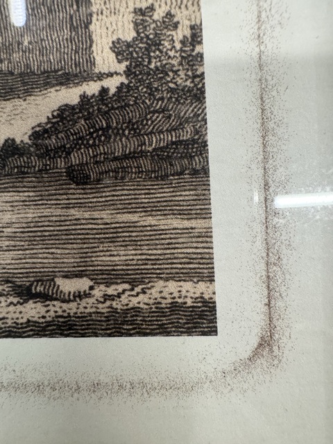 古玩字畫佚名真品鑒賞圖
