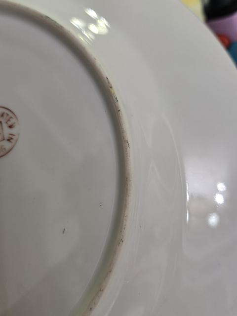 古玩陶瓷廣彩花鳥盤拍賣，當前價格400元