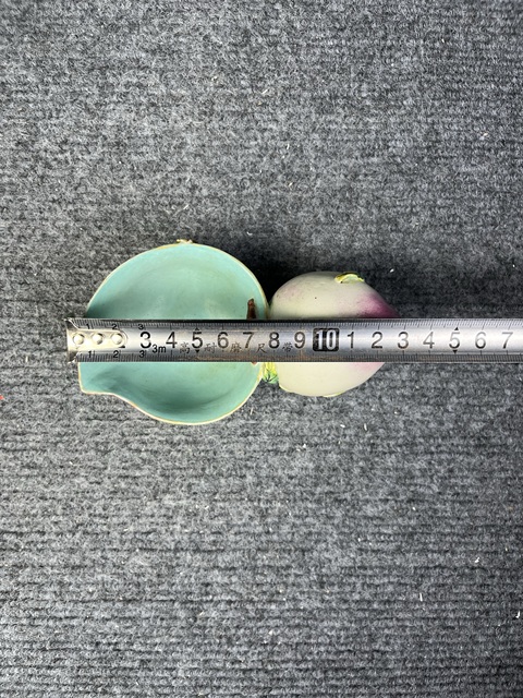 古玩陶瓷仿生瓷壽桃型水洗拍賣,當前價格4588元