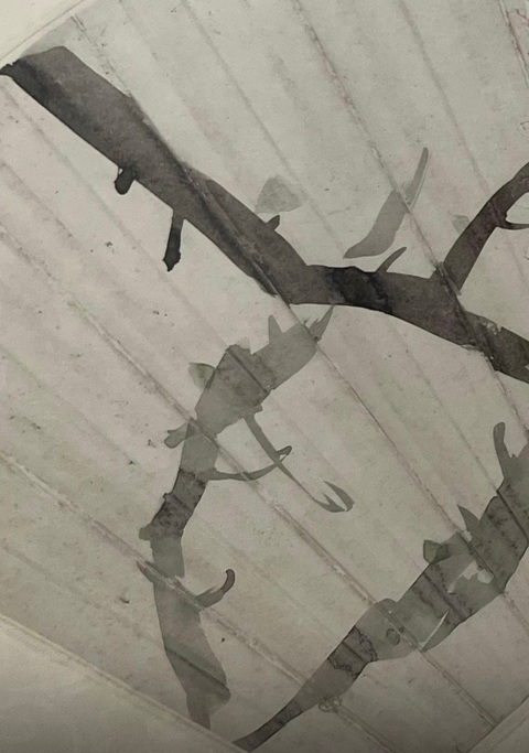 古玩字畫任伯年款花鳥真品鑒賞圖