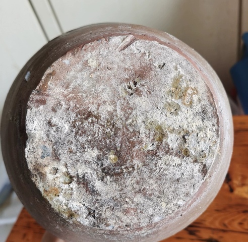 古玩陶瓷河南一帶漢青瓷罐真品鑒賞圖