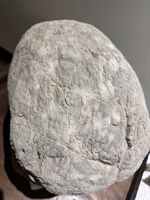古玩雜項青石獅子真品鑒賞圖