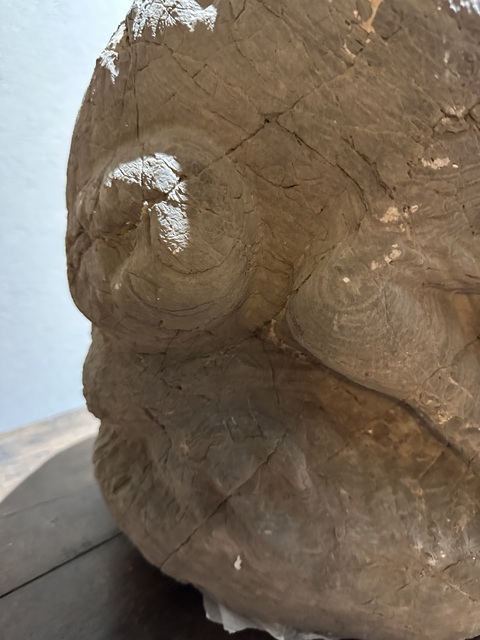 古玩雜項青石獅子真品鑒賞圖