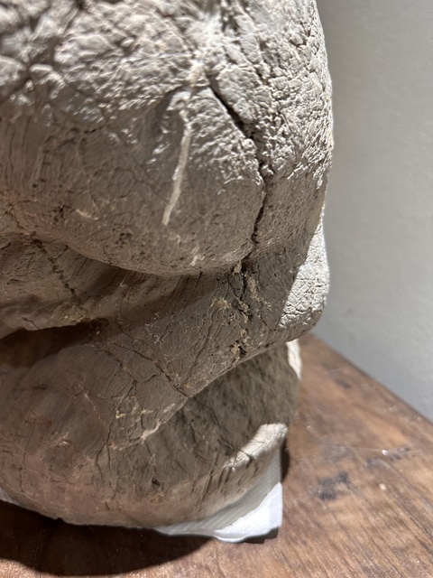 古玩雜項青石獅子真品鑒賞圖