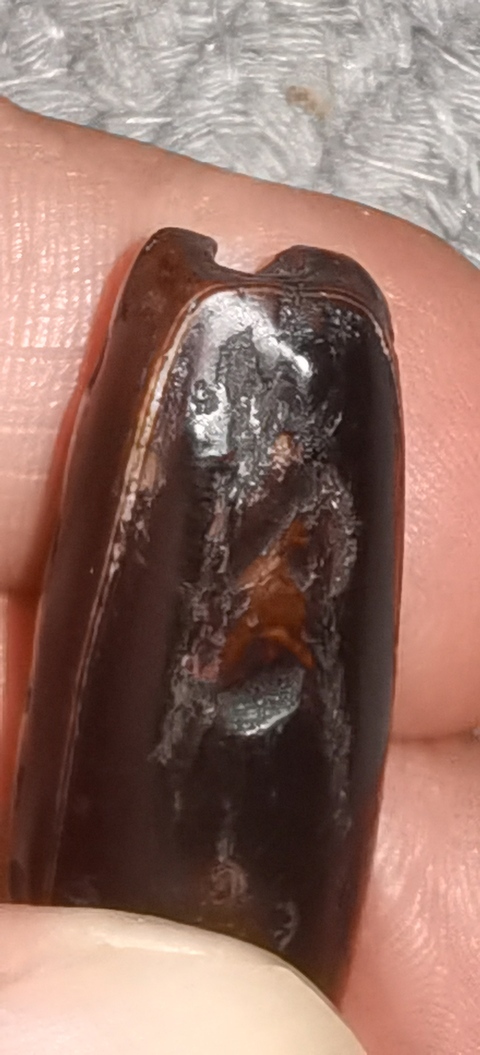 古玩玉器仿古管珠真品鑒賞圖