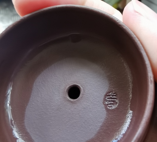 古玩雜項紫砂壺真品鑒賞圖