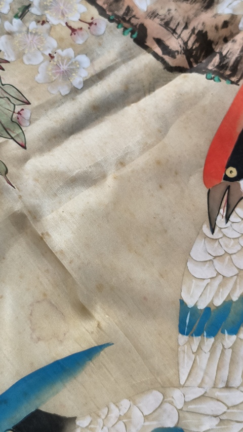古玩字畫花鳥真品鑒賞圖