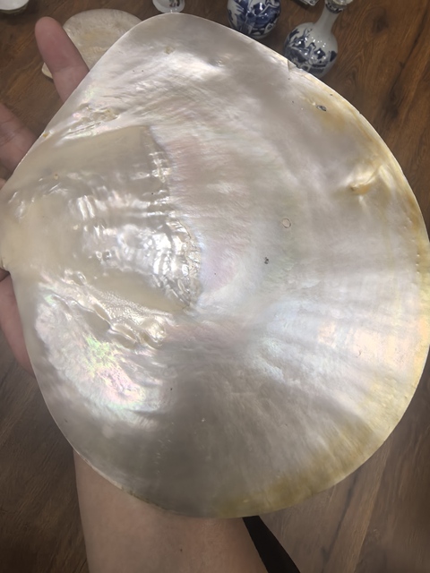 古玩雜項貝殼畫真品鑒賞圖