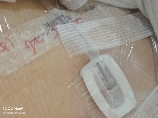 古玩玉器岫玉雕“臥牛”擺件真品鑒賞圖