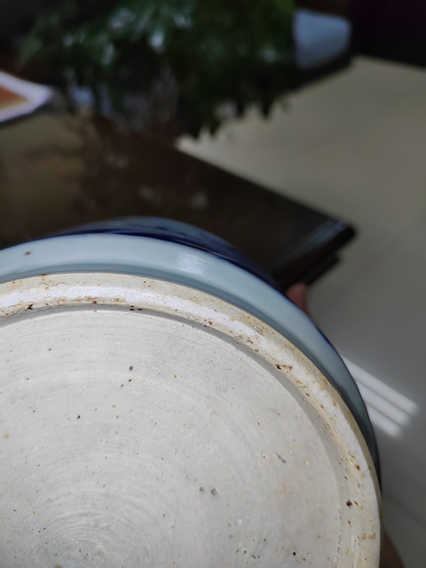 古玩陶瓷晚清青花龍紋香爐真品鑒賞圖