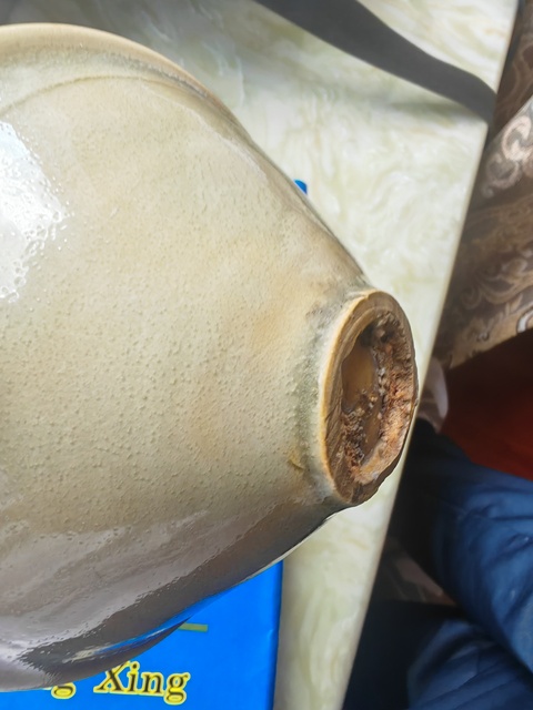 古玩陶瓷南宋耀州窯盞真品鑒賞圖