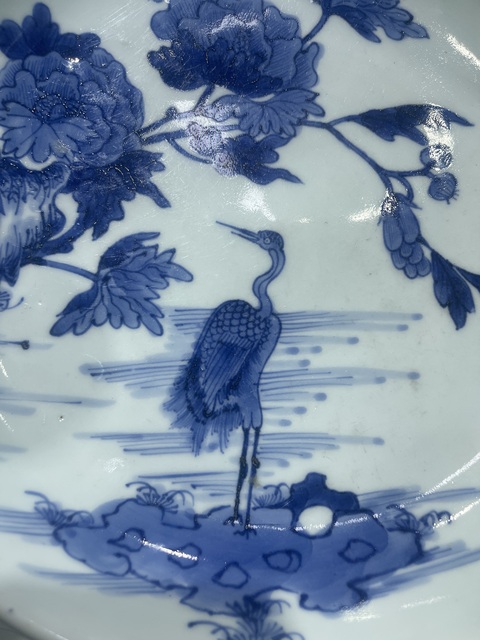 古玩陶瓷清中·青花花鳥紋盤 真品鑒賞圖