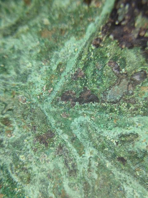 古玩銅器一眼開門的漢代單圈銘文鏡真品鑒賞圖
