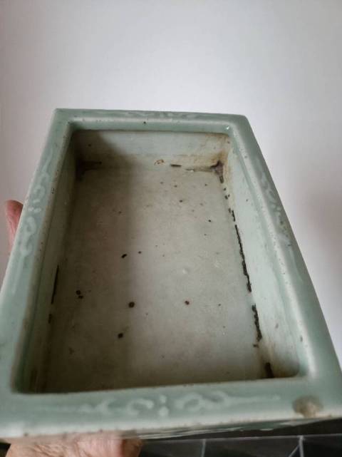 古玩陶瓷豆青堆白水仙盆真品鑒賞圖