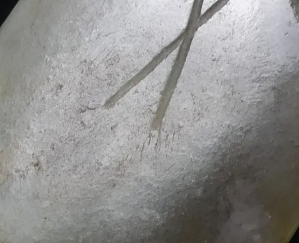古玩玉器玉蟬型件真品鑒賞圖