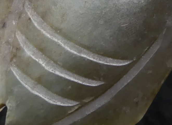 古玩玉器玉蟬型件真品鑒賞圖