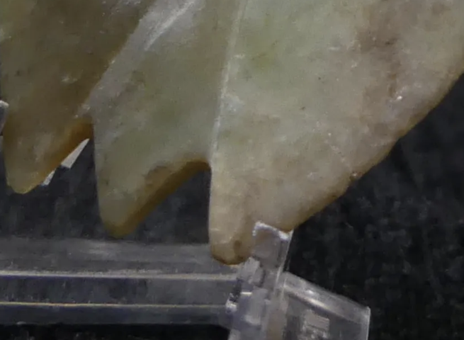 古玩玉器玉蟬型件真品鑒賞圖